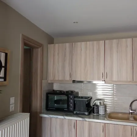 Apartment Aiolos Luxury Agios Dimitrios Center 4 Athens